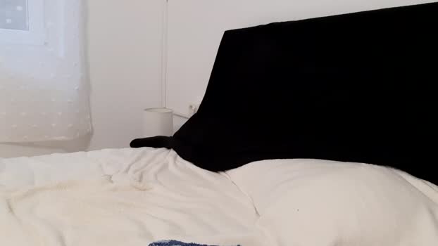 apollobest77 juicy Webcam SHOW @ Chaturbate 30-05-2025