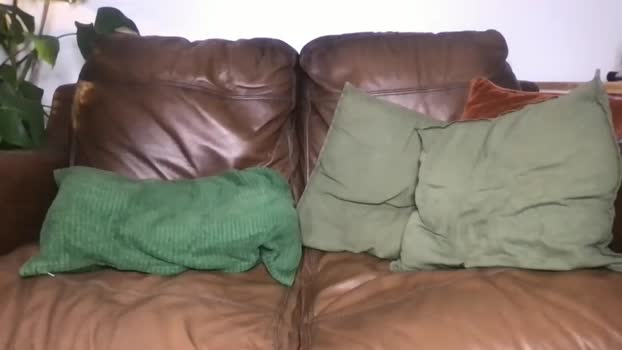 camdoattitude analsex Webcam SHOW @ Chaturbate 05-06-2025