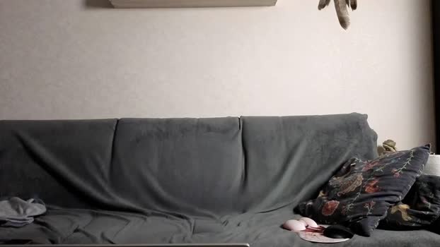 jastinpet XXX Webcam SHOW @ Chaturbate 08-06-2025