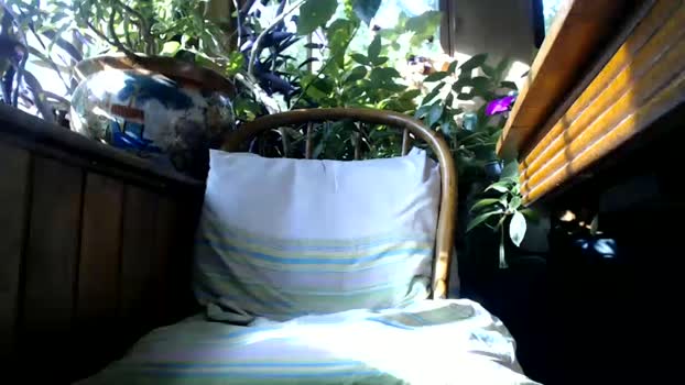 kaonashi69 orgasm Webcam SHOW @ Chaturbate 11-06-2025