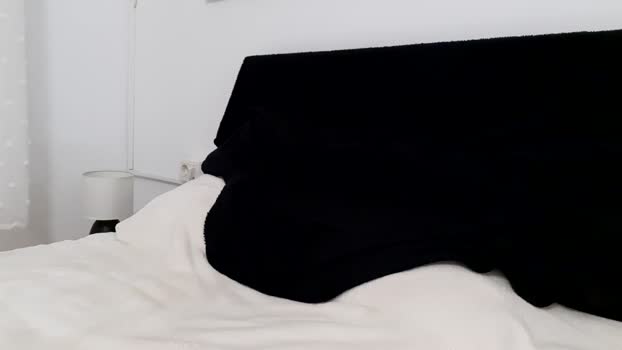 apollobest77 sexybody Webcam SHOW @ Chaturbate 17-06-2025