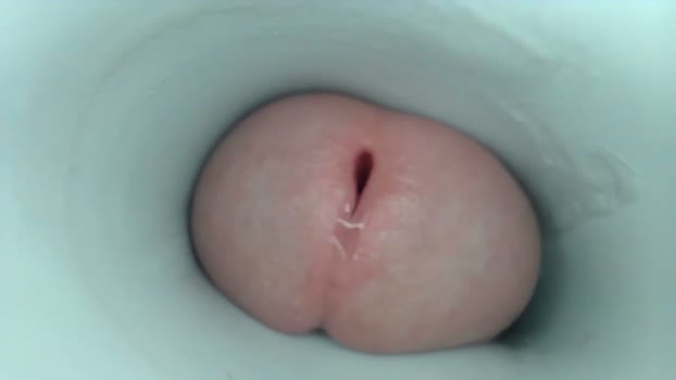 jeffrodgerschaturbat lick Webcam SHOW @ Chaturbate 05-07-2025