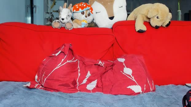 sexyfoxyari sexy Webcam SHOW @ Chaturbate 11-07-2025