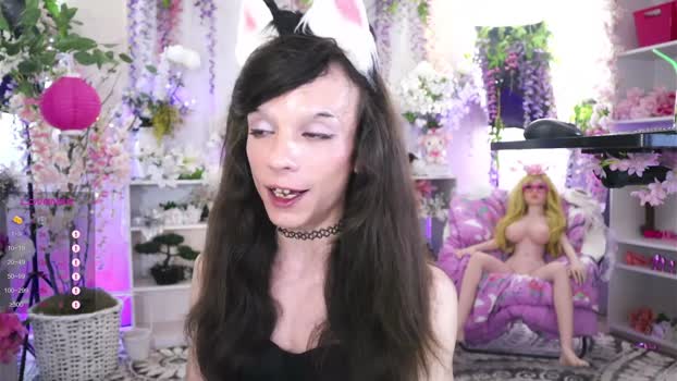xxhayleemariexx show Webcam SHOW @ Chaturbate 17-07-2025