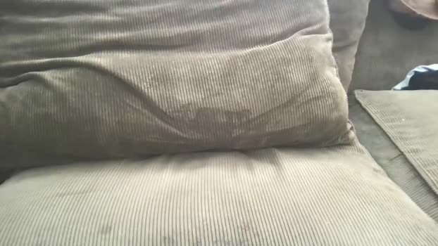 circumsizedbandit Topless Webcam SHOW @ Chaturbate 21-07-2025