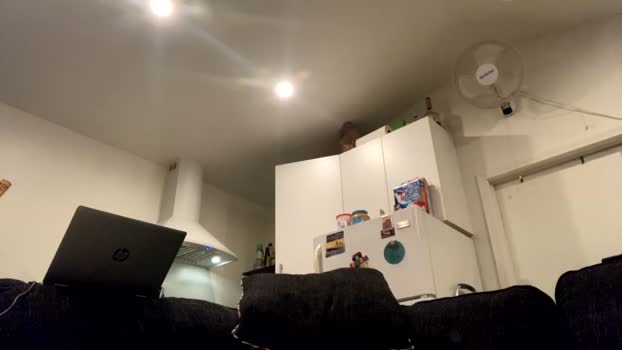 onthecumup69 twink Webcam SHOW @ Chaturbate 22-07-2025