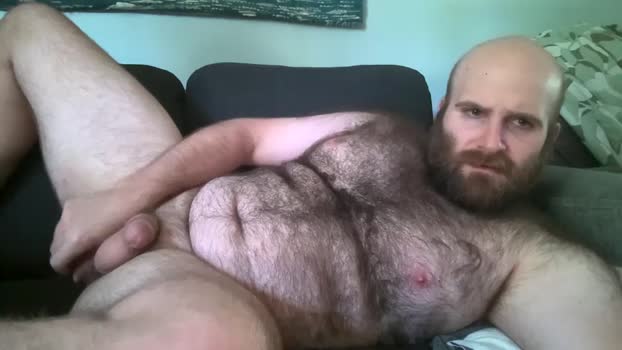 hairiestbear blowjob Webcam SHOW @ Chaturbate 23-07-2025