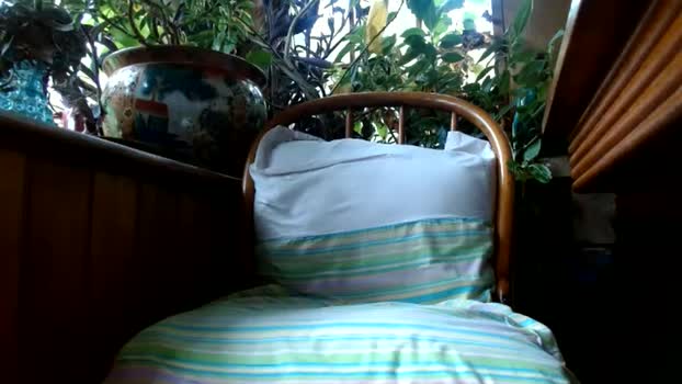 kaonashi69 suck Webcam SHOW @ Chaturbate 24-07-2025