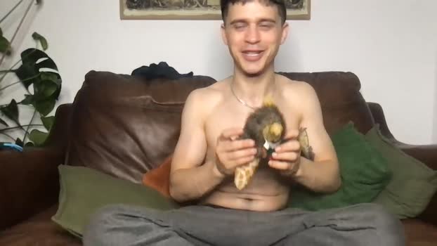 camdoattitude XXX Webcam SHOW @ Chaturbate 29-07-2025