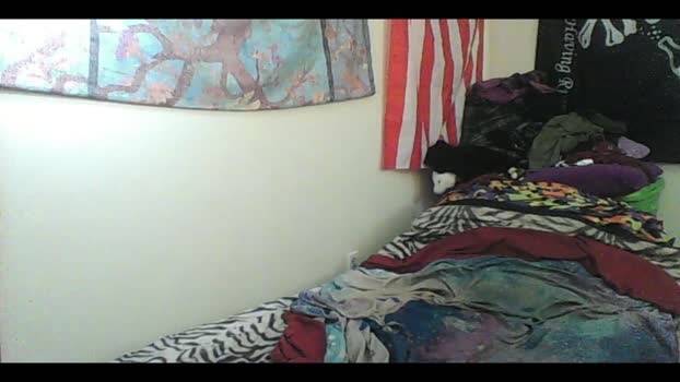 totalfuckingadorable toys Webcam SHOW @ Chaturbate 30-07-2025