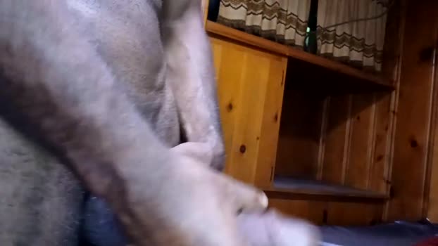 columbusohio614 Pretty Webcam SHOW @ Chaturbate 02-08-2025