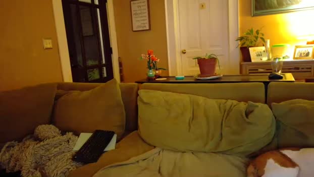 fuckadilf hardcore Webcam SHOW @ Chaturbate 06-08-2025