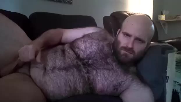 hairiestbear suckshow Webcam SHOW @ Chaturbate 06-08-2025