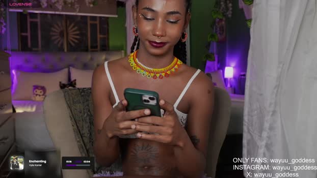 wayuu_goddess toy Webcam SHOW @ Chaturbate 08-08-2025