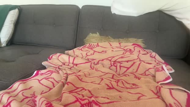 fun8in suck Webcam SHOW @ Chaturbate 11-08-2025
