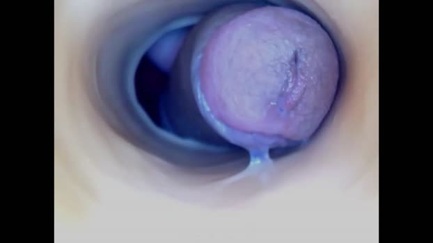 paulainoscente bigass Webcam SHOW @ Chaturbate 12-08-2025
