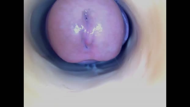 paulainoscente tits Webcam SHOW @ Chaturbate 13-08-2025