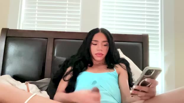dynasty313 shemale Webcam SHOW @ Chaturbate 15-08-2025