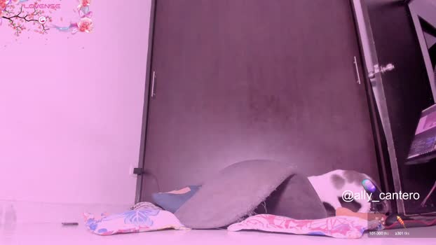 ally_cantero bigtoys Webcam SHOW @ Chaturbate 31-08-2025