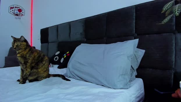 alexander_martines hardcock Webcam SHOW @ Chaturbate 15-09-2025