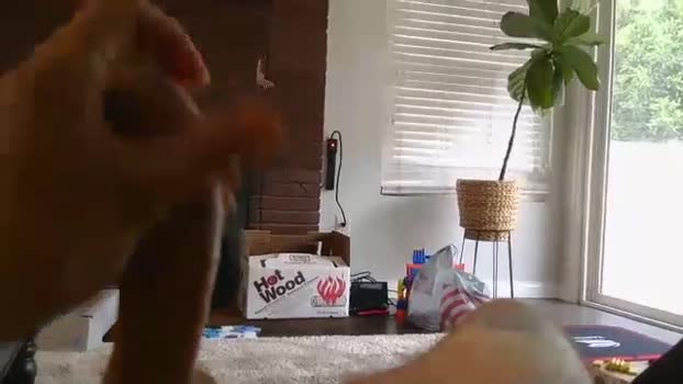 ryanbobby88 sexykitty Webcam SHOW @ Chaturbate 14-09-2025