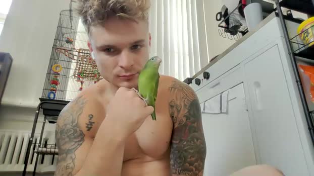 _king_kev jerkoff Webcam SHOW @ Chaturbate 15-09-2025