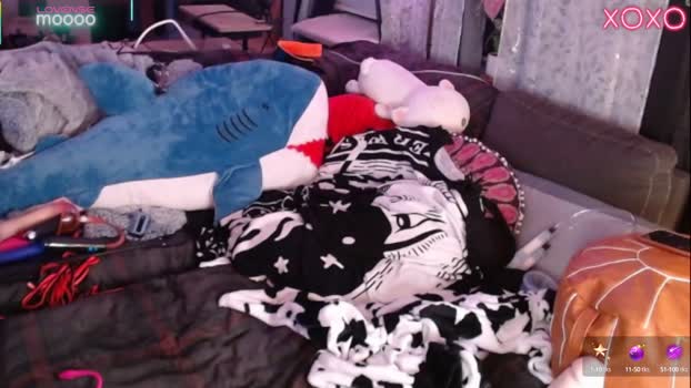 kacchanswetdreams tits Webcam SHOW @ Chaturbate 16-09-2025