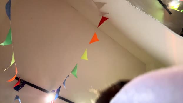 diskii07