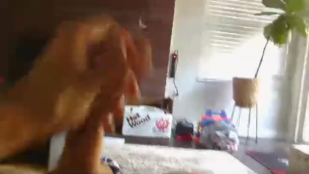 ryanbobby88 bj-dildo Webcam SHOW @ Chaturbate 25-09-2025