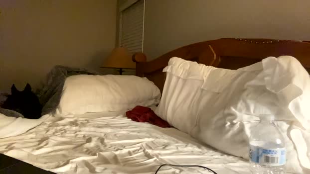hottiewithabody101 fuckface Webcam SHOW @ Chaturbate 27-09-2025
