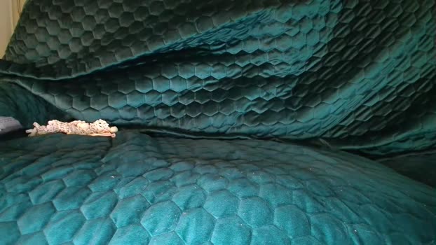 bigdicktrannynicole bigboobs Webcam SHOW @ Chaturbate 30-09-2025