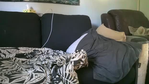 hairiestbear jerking Webcam SHOW @ Chaturbate 01-10-2025