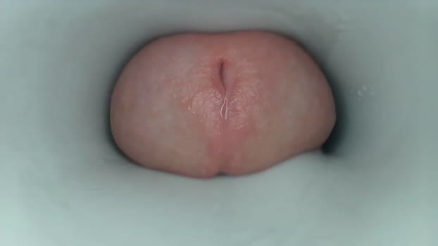 jeffrodgerschaturbat big Webcam SHOW @ Chaturbate 03-10-2025
