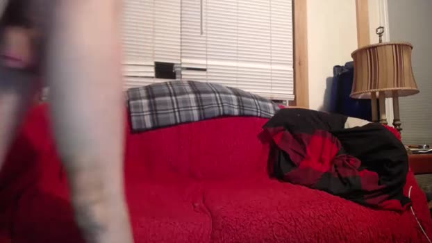 johstondude jerkoff Webcam SHOW @ Chaturbate 04-10-2025