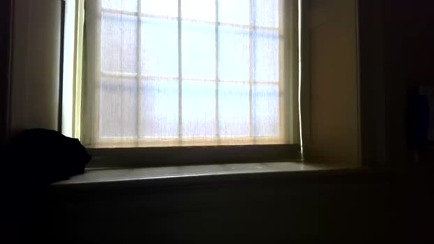 leanlance27 jerkoff Webcam SHOW @ Chaturbate 04-10-2025