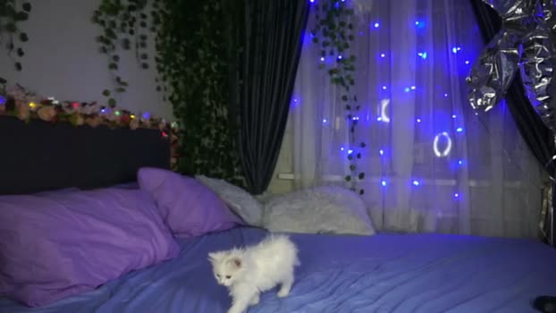 touch_me_if_you_can bigload Webcam SHOW @ Chaturbate 05-10-2025