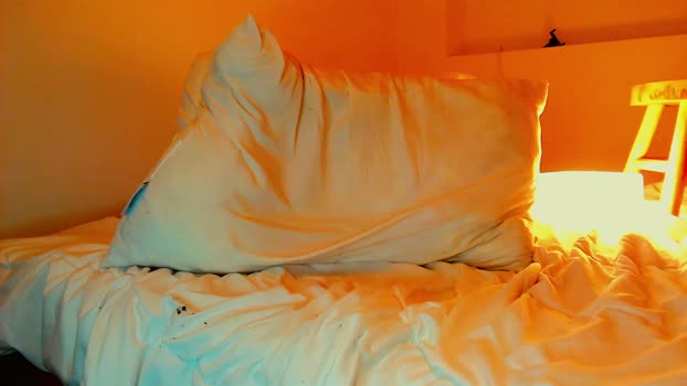 highnightz sexykitty Webcam SHOW @ Chaturbate 08-10-2025