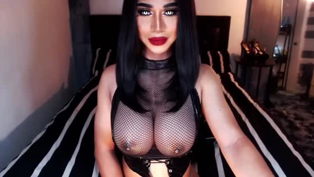 massivecockxmistress amateur Webcam SHOW @ Chaturbate 08-10-2025
