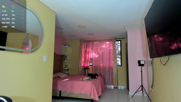 alejandraecheverri analtoy Webcam SHOW @ Chaturbate 11-10-2025