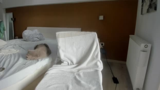 woolfiie gay Webcam SHOW @ Chaturbate 17-10-2025