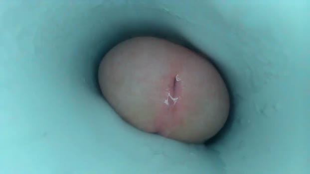 jeffrodgerschaturbat suckshow Webcam SHOW @ Chaturbate 18-10-2025