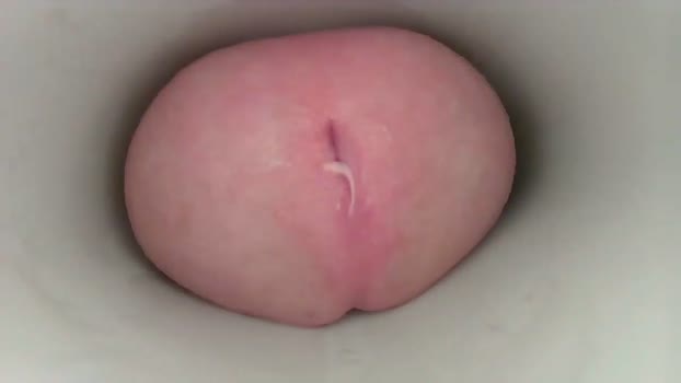 jeffrodgerschaturbat sweet Webcam SHOW @ Chaturbate 20-10-2025