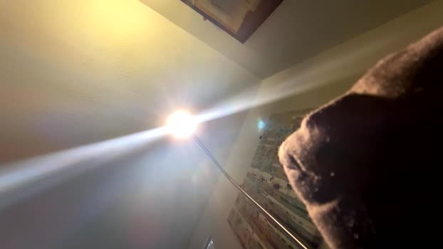 soharddr bigcock Webcam SHOW @ Chaturbate 29-10-2025
