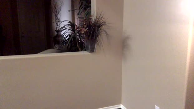thickdickbigcumshots skinny Webcam SHOW @ Chaturbate 02-11-2025