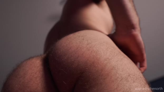 waynenorth amateur Webcam SHOW @ Chaturbate 05-11-2025