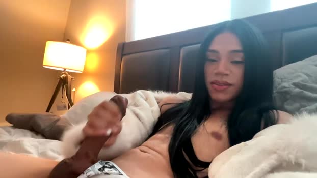 dynasty313 sweet Webcam SHOW @ Chaturbate 06-11-2025