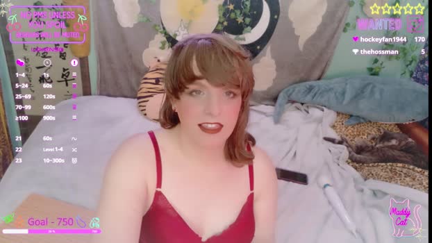 maddy_cat moan Webcam SHOW @ Chaturbate 06-11-2025