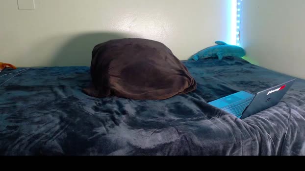 bbrn_88 amateur Webcam SHOW @ Chaturbate 12-11-2025