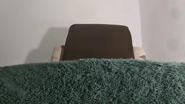 alotofcream lick Webcam SHOW @ Chaturbate 25-11-2025