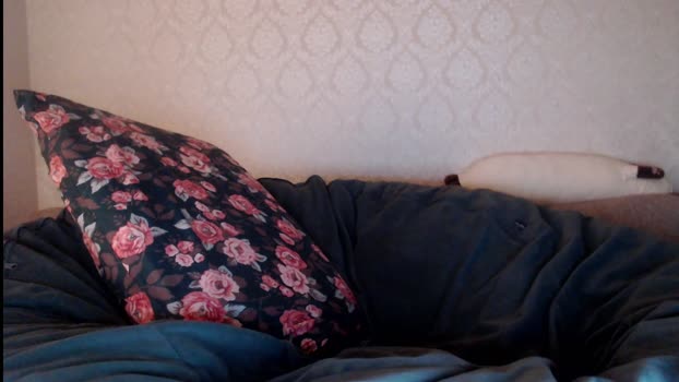 athleticloganx fingering Webcam SHOW @ Chaturbate 01-12-2025